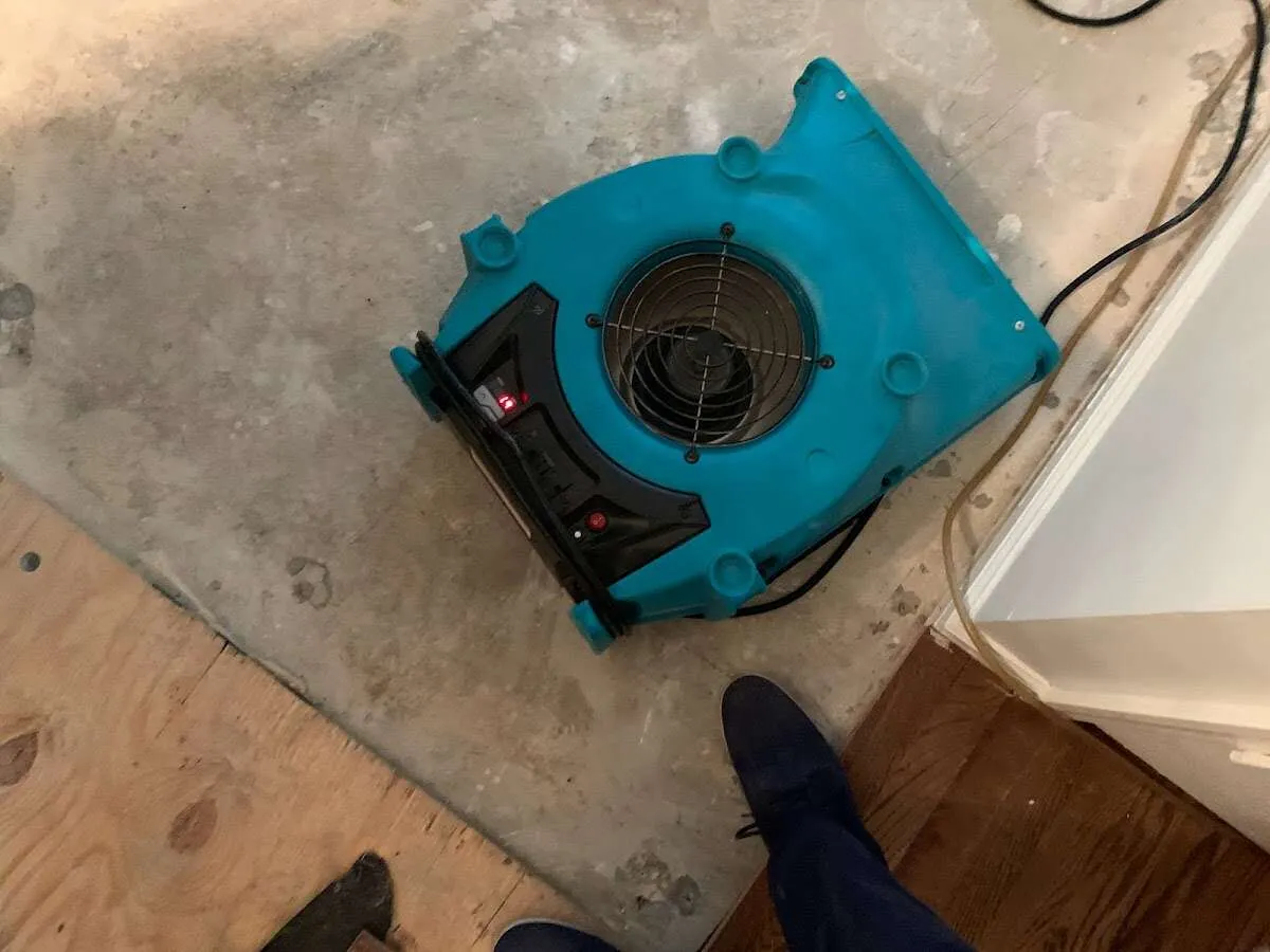 Air mover drying subfloor during Commercial Water Damage Restoration in Red Hook